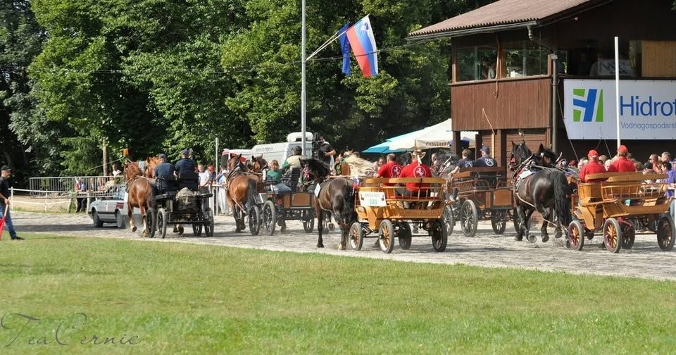 🏇40. Jubilejna tradicionalna prireditev & veselica KD Krim/ Hipodrom Vrbljenje