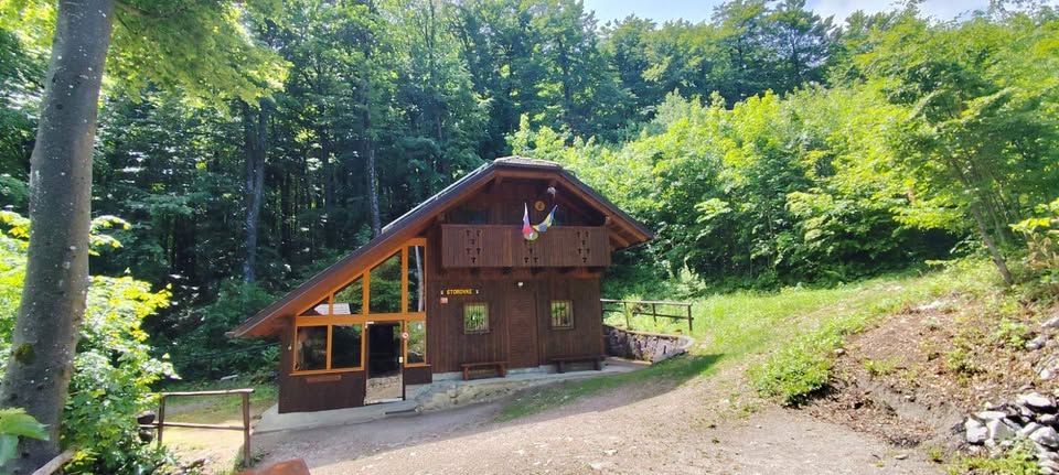 Razstava gob in veselica